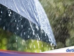 Prakiraan Cuaca Jawa Timur 15 Januari 2024, Cek Daerah Kamu di Sini!