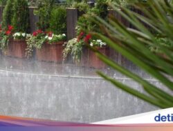 Cuaca Jawa Timur 18 Januari 2024, Seluruh Wilayah Hujan, Awas Petir!