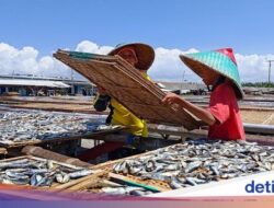 Banyuwangi Punya Strategi Atasi Harga Ikan Anjlok