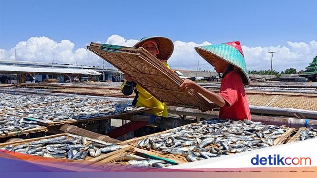 banyuwangi-punya-strategi-atasi-harga-ikan-anjlok