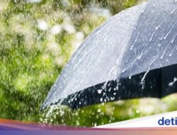 Cuaca Jawa Timur 19 Januari 2024, Hujan Merata di 38 Kabupaten/Kota