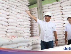 Masuk Masa Tanam, Pusri Distribusi Pupuk Subsidi untuk Jateng
