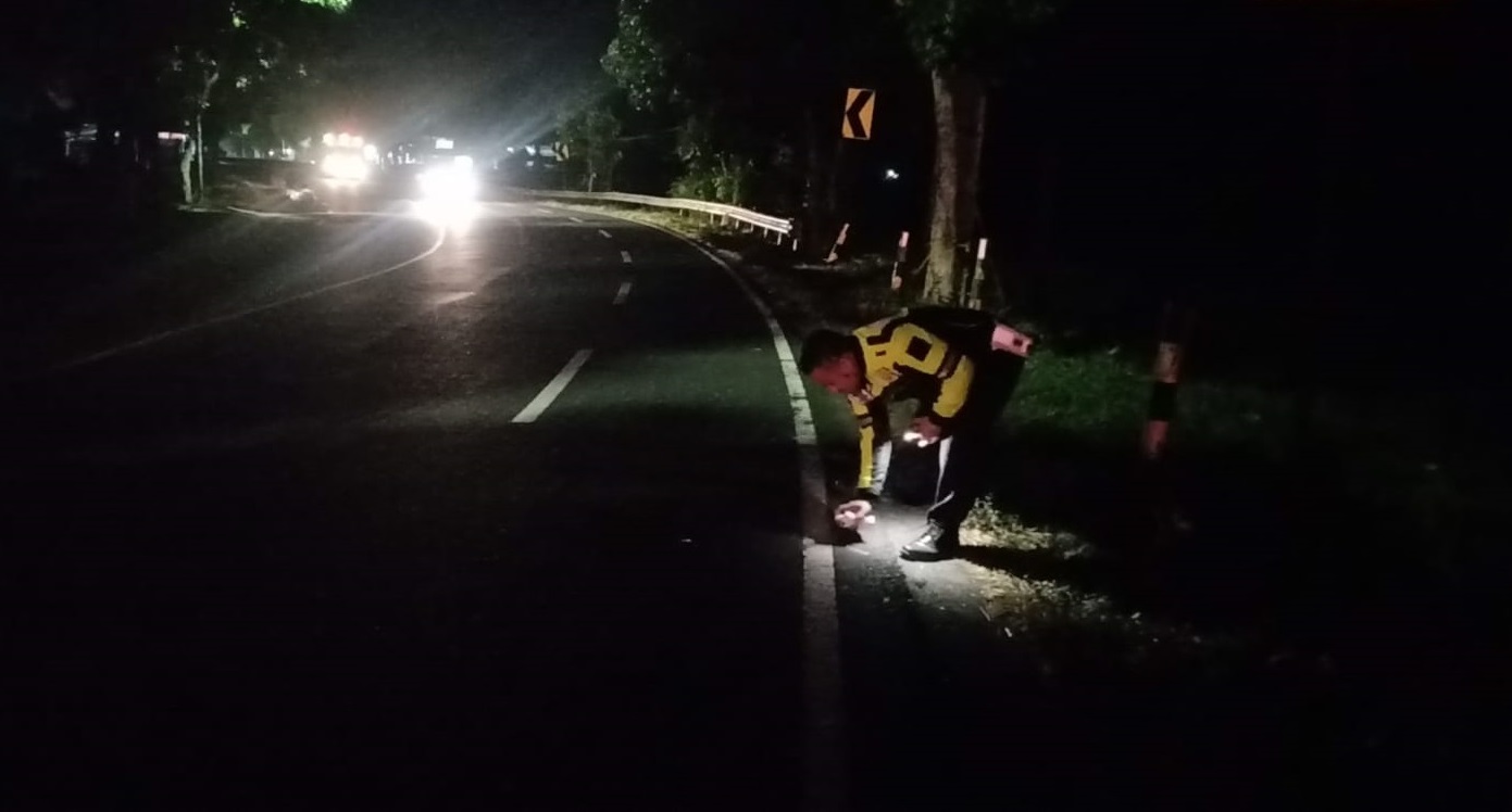 kijang-innova-tak-bertuan-nyemplung-di-sawah-labanasem,-why?