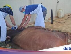 Dua RPH Banyuwangi Kantongi Sertifikat Halal
