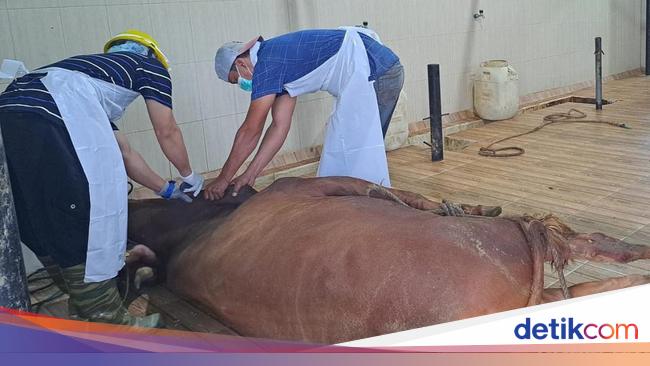 dua-rph-banyuwangi-kantongi-sertifikat-halal