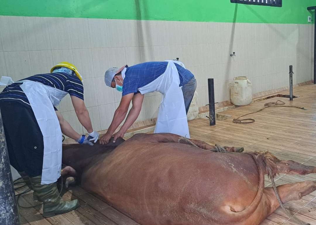 seluruh-rph-di-banyuwangi-segera-kantongi-sertifikat-halal