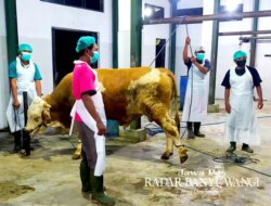 Lolos Audit, 6 RPH di 6 Kecamatan se Banyuwangi Tinggal Menunggu Sertifikasi Halal