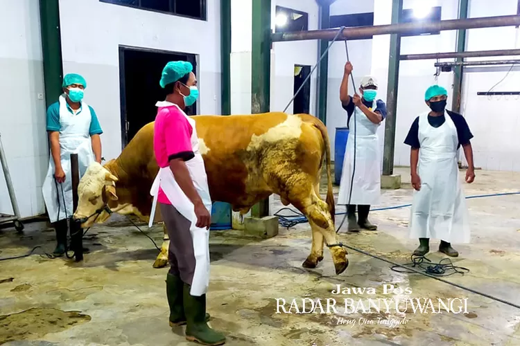lolos-audit,-6-rph-di-6-kecamatan-se-banyuwangi-tinggal-menunggu-sertifikasi-halal