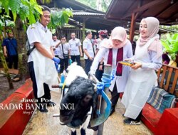 Kunjungi Peternakan Kambing di Telemung, Bupati Ipuk Ajak Generasi Muda Kreatif Gali Potensi