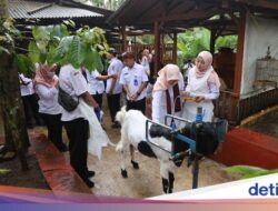 Pemuda Banyuwangi Sukses Berdayakan Warga Lewat Peternakan Kambing Perah