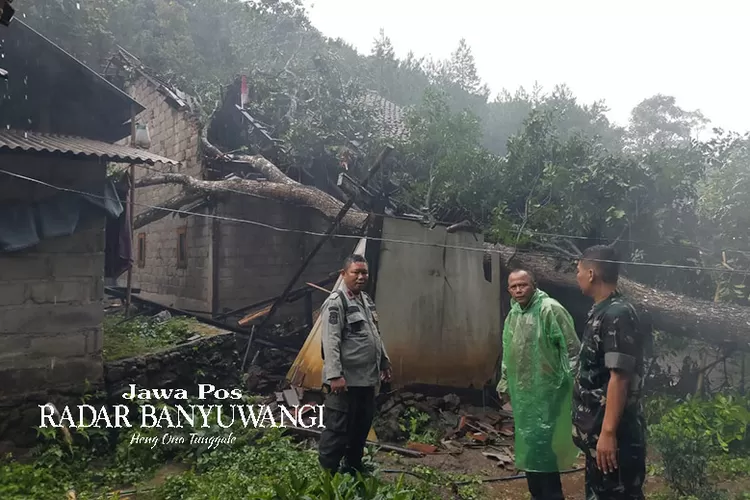 hujan-deras-disertai-angin-kencang-melanda-gombengsari-banyuwangi,-2-rumah-rusak,-1-ekor-sapi-mati