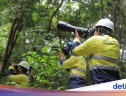 Hutan Tujuh Bukit Banyuwangi Simpan Keanekaragaman Hewan dan Tumbuhan