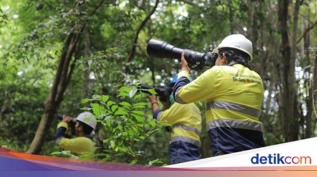 hutan-tujuh-bukit-banyuwangi-simpan-keanekaragaman-hewan-dan-tumbuhan