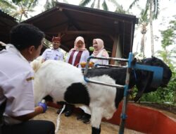 Pemuda Desa Banyuwangi Sukses Berdayakan Warga Lewat Peternakan Kambing Perah