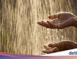 Hujan Petir Akan Guyur 27 Daerah Jatim, Ini Prakiraan Cuaca 3 Februari 2024