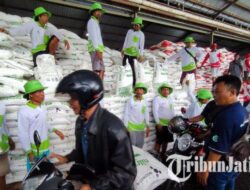 Diskon 40 Persen, Gebyar Pupuk Nonsubsidi Diserbu Ribuan Petani di Banyuwangi – Tribunjatim.com