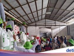 Ribuan Petani di Banyuwangi Antre Pupuk Nonsubsidi