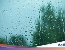 Cuaca Jatim Hari Ini 4 Februari, Mayoritas Daerah Diguyur Hujan Ringan