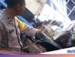 Truk Muat Paralon Terjun ke Jurang Gumitir, Sopir Tewas Terjepit