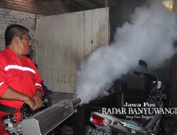 40 Warga Situbondo Terpapar DBD, Dinkes Sebut Ada Dua Kecamatan Dengan Jumlah Terbanyak