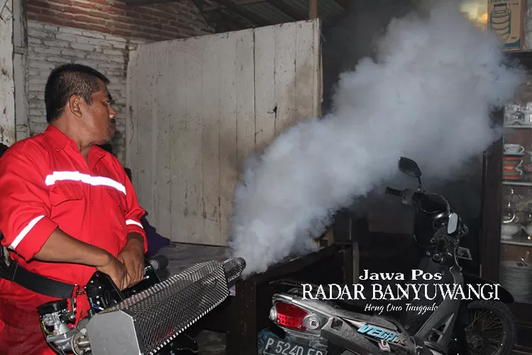 40-warga-situbondo-terpapar-dbd,-dinkes-sebut-ada-dua-kecamatan-dengan-jumlah-terbanyak