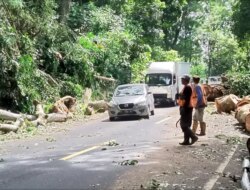 Imbas Pohon Tumbang di Gumitir, Polantas Banyuwangi Berlakukan Sistem Buka Tutup