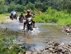 Diwarnai Listrik Padam, Pemungutan Suara di Desa Sarongan Banyuwangi Tetap Berjalan Lancar