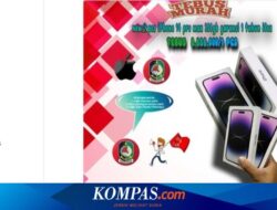 Banyuwangi Regency Government's Official Instagram Account Hacked to Become a Place to Sell Cell Phones