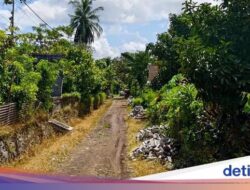 Caleg NasDem Banyuwangi Tarik Bantuan Paving, Warga Sedih Jalan Tetap Becek