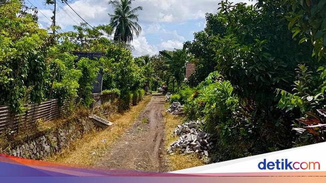 caleg-nasdem-banyuwangi-tarik-bantuan-paving,-warga-sedih-jalan-tetap-becek