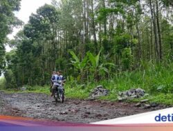 NasDem Banyuwangi Buka Suara soal Caleg Tarik Bantuan Paving gegara Kalah