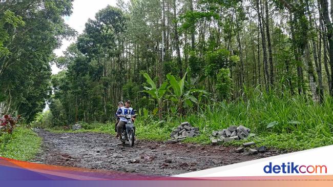 nasdem-banyuwangi-buka-suara-soal-caleg-tarik-bantuan-paving-gegara-kalah