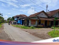 Ini Kata Pengamat Politik soal Caleg NasDem Banyuwangi Tarik Bantuan Paving