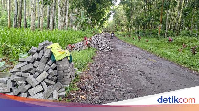 fakta-masih-bungkamnya-caleg-nasdem-banyuwangi-yang-tarik-bantuan-paving