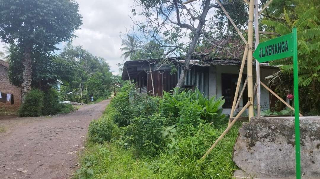 bantuan-paving-ditarik-gara-gara-kalah-nyaleg,-ini-penjelasannya