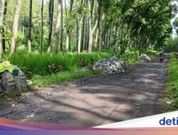 Ketua NasDem Banyuwangi Pasang Badan Soal Caleg yang Tarik Bantuan Paving