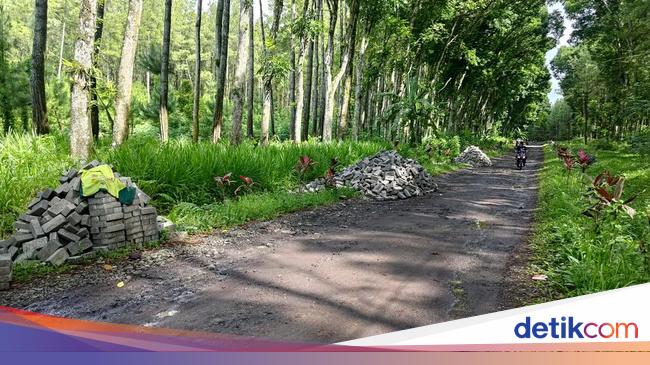 ketua-nasdem-banyuwangi-pasang-badan-soal-caleg-yang-tarik-bantuan-paving