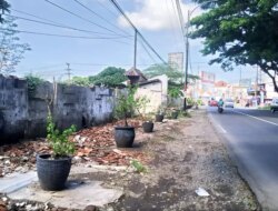 Cegah Pedagang Balik Lagi, Bekas Kios Loak di Desa Genteng Wetan Banyuwangi Dipasangi Pot Bunga