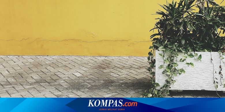 disebut-tarik-kembali-bantuan-paving,-ratih-caleg-di-banyuwangi-sebut-ada-miskomunikasi