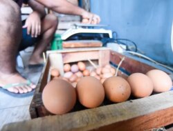 Di Pasar Rogojampi Banyuwangi Harga Komoditas Pangan Juga Naik