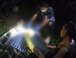Penderes Kelapa di Banyuwangi Tewas Usai Jatuh dari Pohon Kelapa
