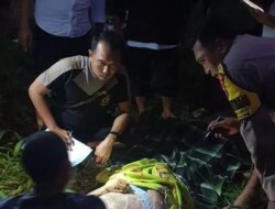 Jatuh dari Pohon, Penderes Kelapa Asal Desa Karangharjo Banyuwangi Tewas