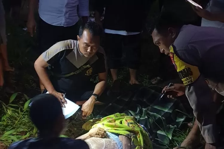 jatuh-dari-pohon,-penderes-kelapa-asal-desa-karangharjo-banyuwangi-tewas
