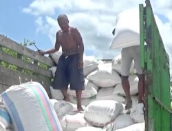 Harga Beras Naik, Harga Nasi Pecel Ikut Naik