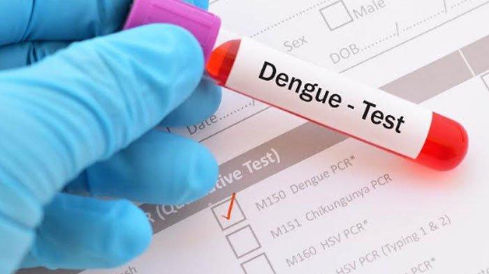 kasus-dbd-di-banyuwangi-mulai-meningkat,-masyarakat-diminta-gencarkan-psn-–-tribunjatim.com