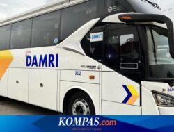 DAMRI Bus Schedule and Fares for Trans-Java Route Destination to Surabaya, Poor, and Banyuwangi