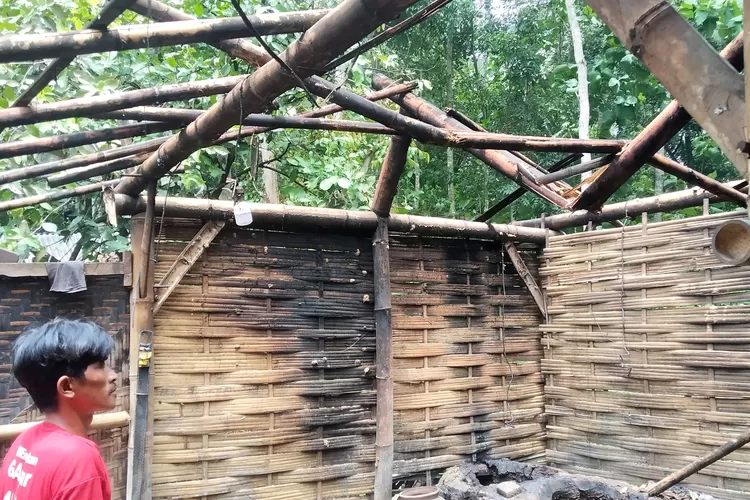 dapur-penderes-kelapa-di-desa-karangsari-banyuwangi-hancur-tertimpa-pohon-jati
