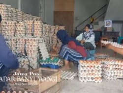 Harga Telur Meroket Jelang Ramadan, di Situbondo Harga Sekilo Tembus Rp32 Ribu – Radar Banyuwangi
