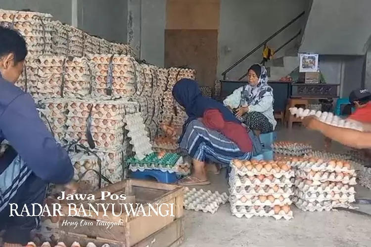 harga-telur-meroket-jelang-ramadan,-di-situbondo-harga-sekilo-tembus-rp32-ribu-–-radar-banyuwangi