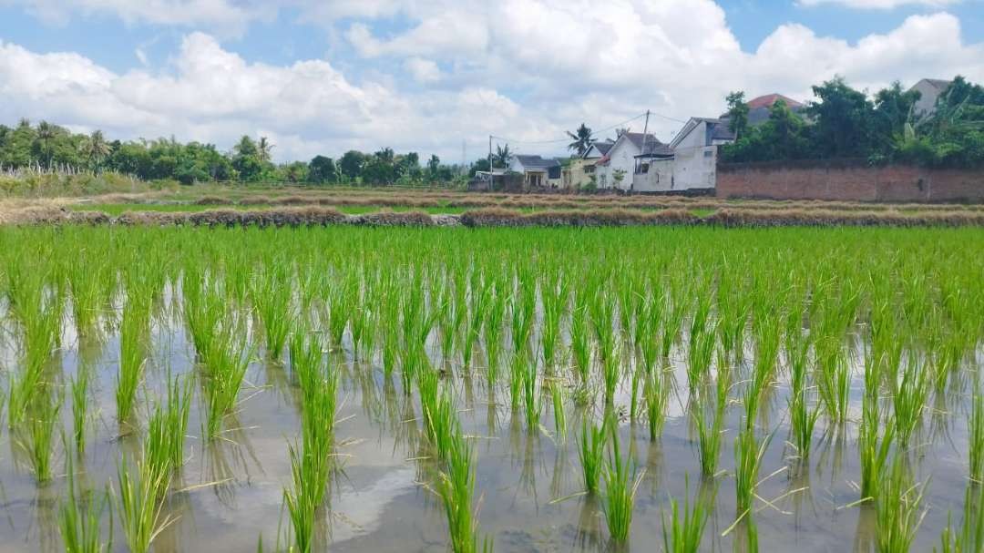 dprd-banyuwangi-kembali-bahas-raperda-lp2b-tahun-ini